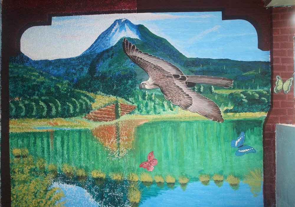 Photo 15