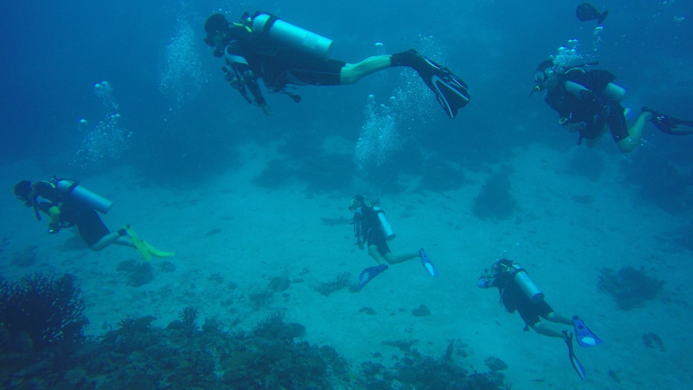 Equa Reef Maldives