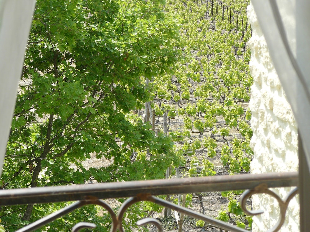 Le Mas des Etoiles - Luberon B&B