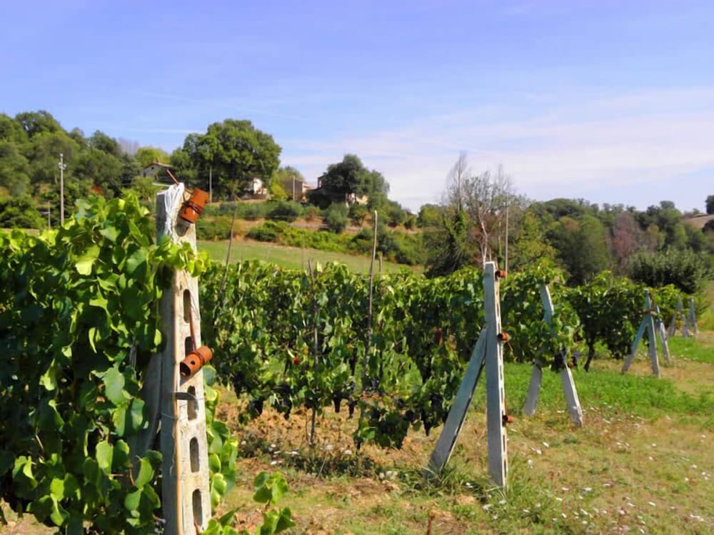 Agriturismo Aurora