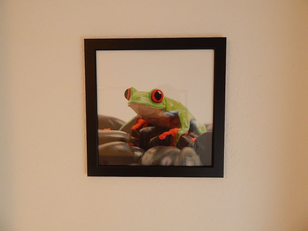 Photo 41