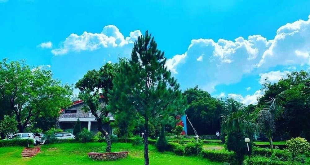 Photo 9