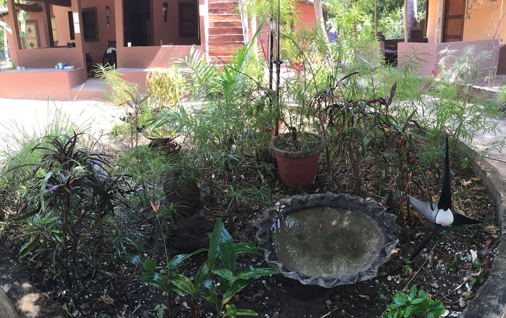 Nemasu Eco-Lodge