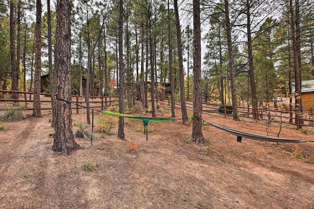 Pet-friendly Show Low Cabin w/ Trail Access!