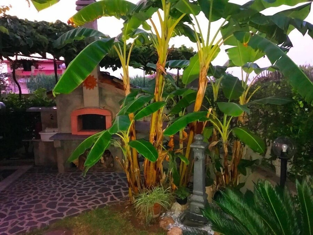 Photo 26