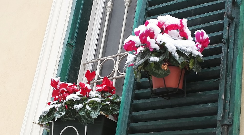 Termini Gold Guest House
