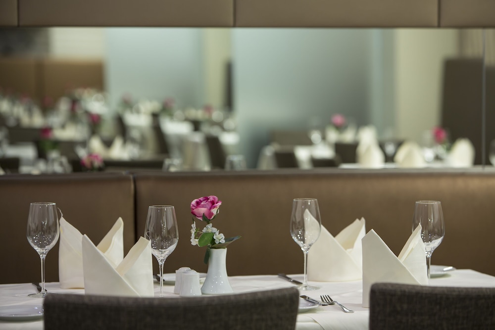 Linz Vacations - Hotel Schillerpark Linz, a member of Radisson Individuals - Property Image 46