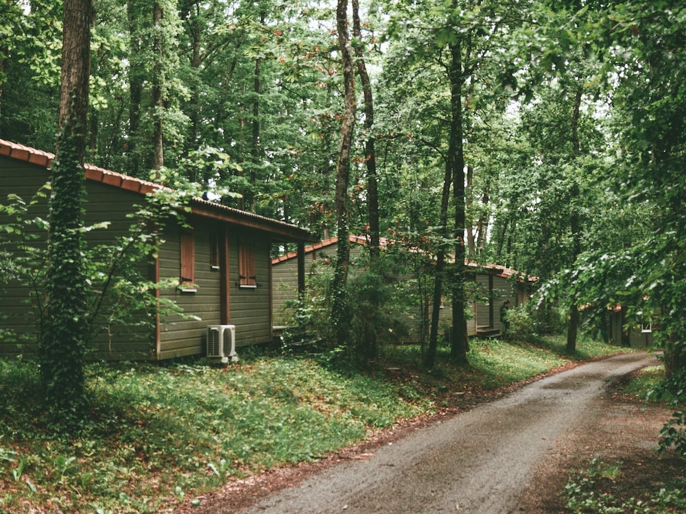 Chalet With Dishwasher on a Hill