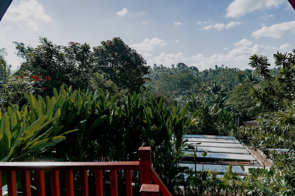 Kusfarm Bali by AHM 50