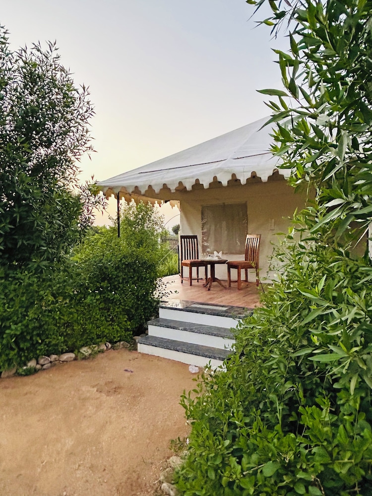 Jawai Horizon Camp