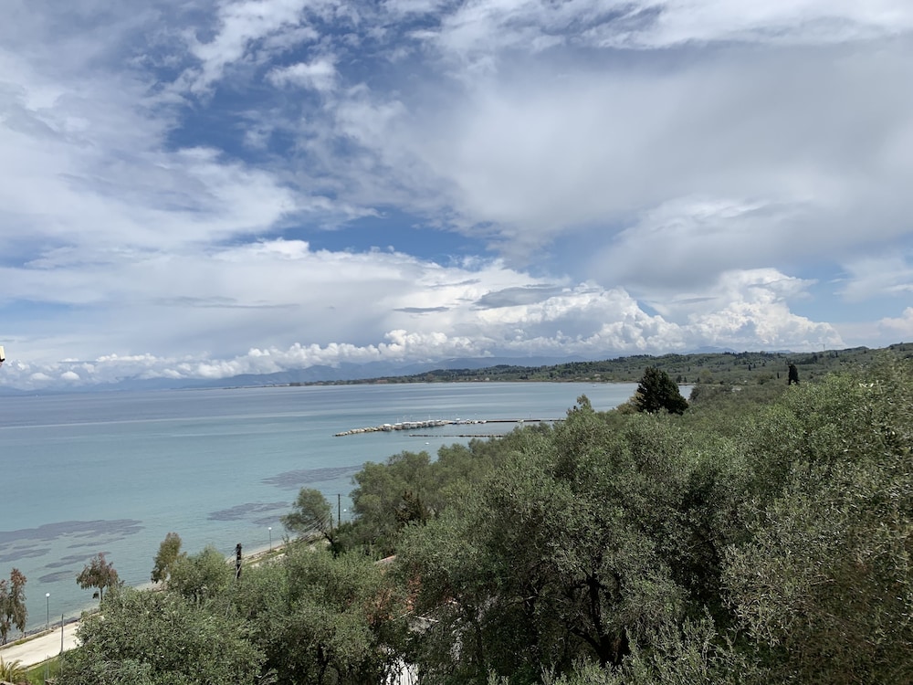Photo 40