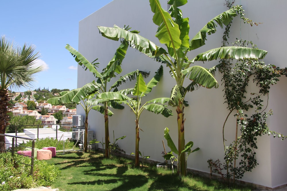 Lavender Residence Kusadasi view 5