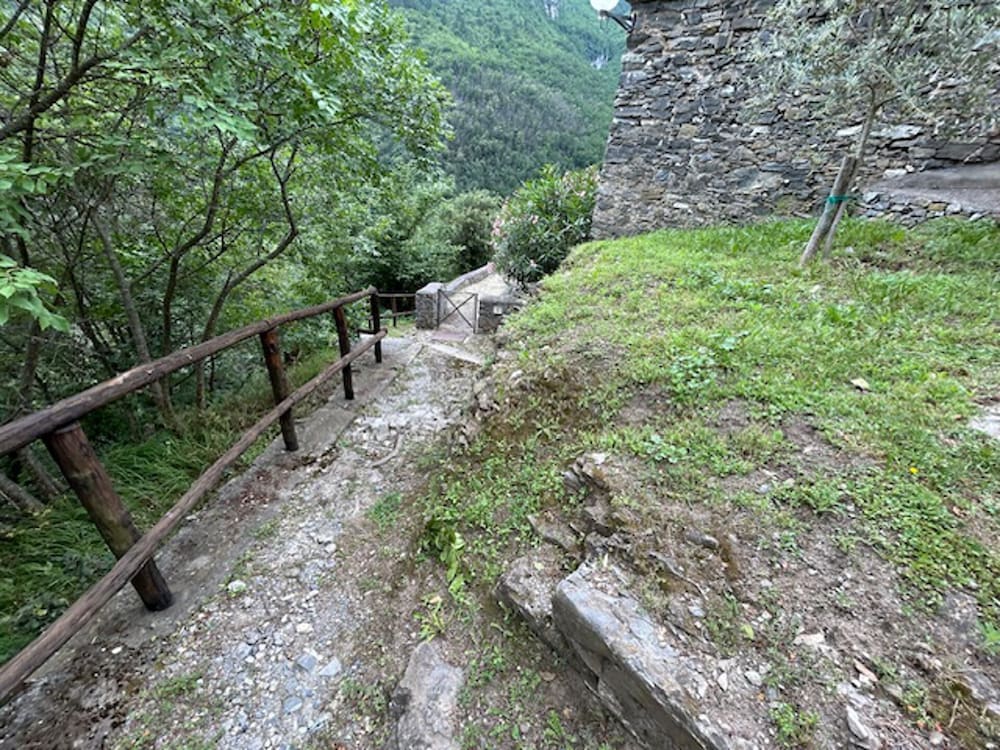 Photo 21