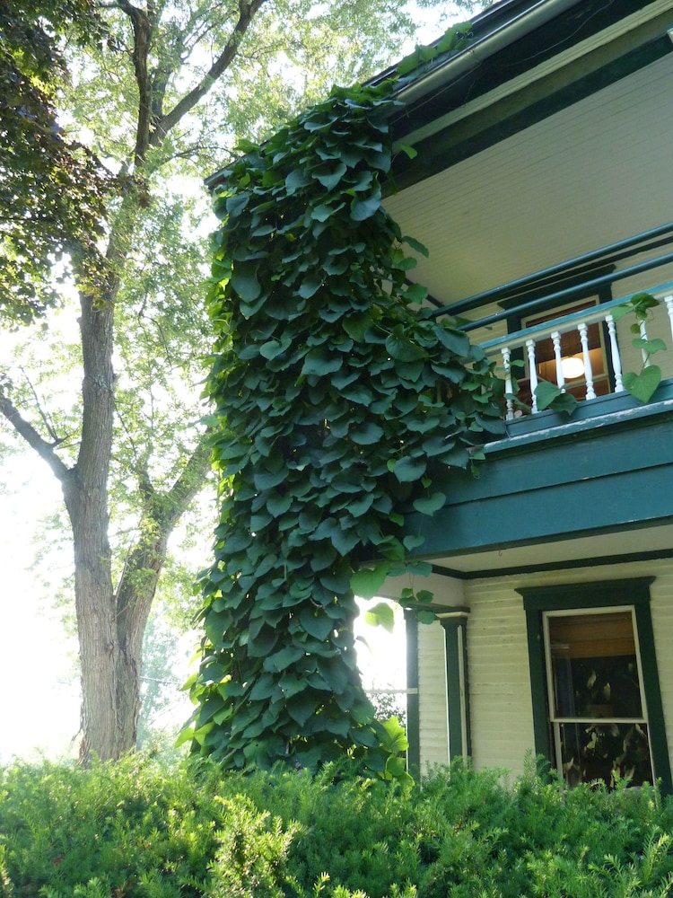 Mt. Philo Inn