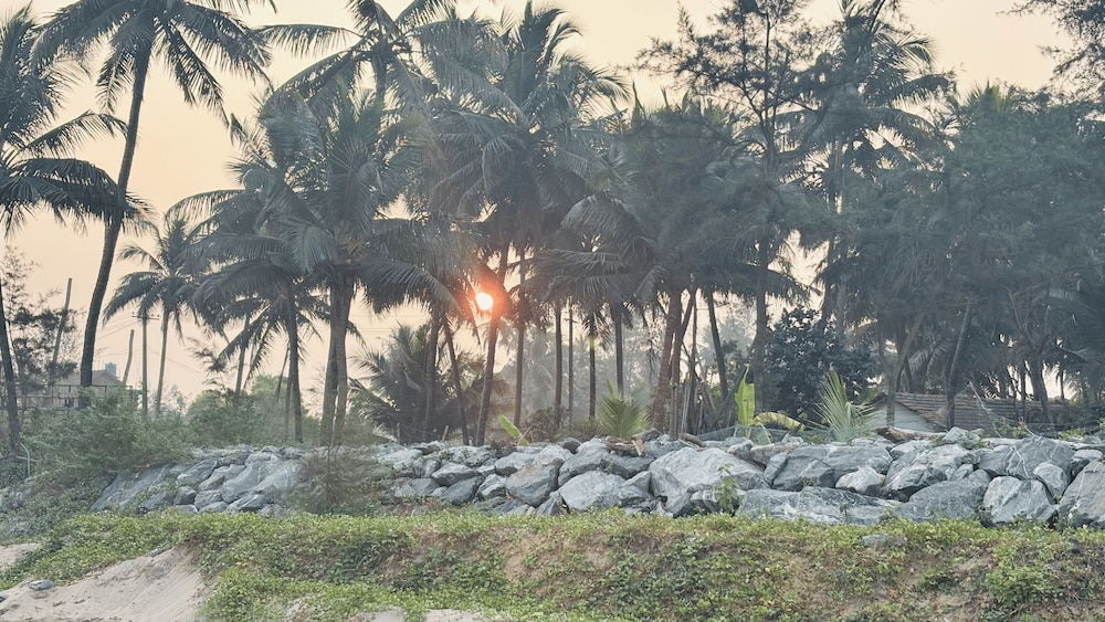 Leela Sea Scape