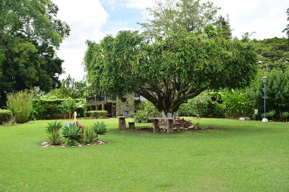 Tulaima