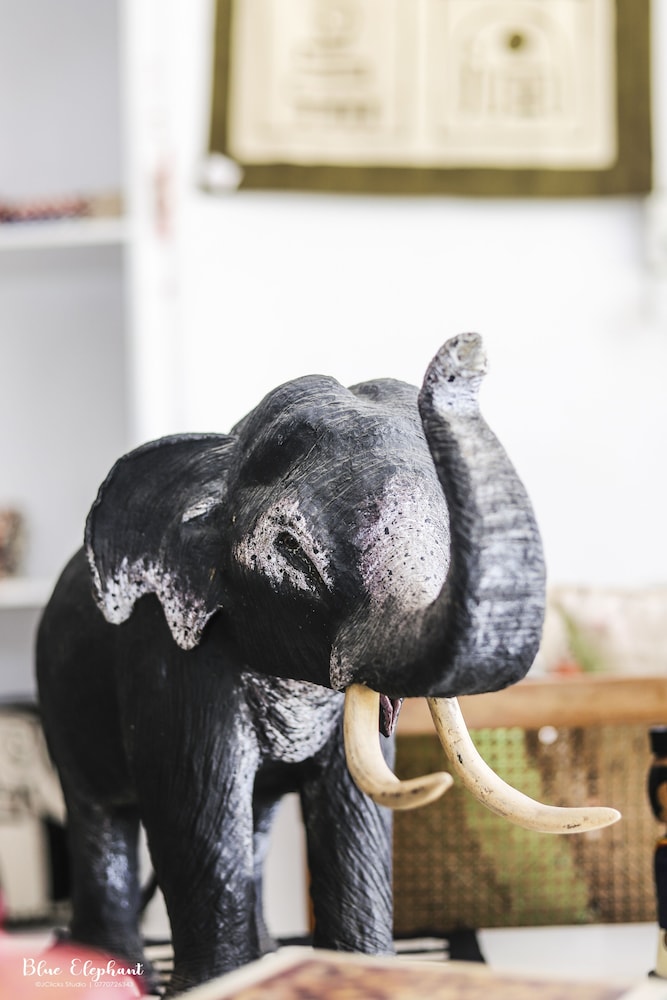 Blue Elephant Guest House