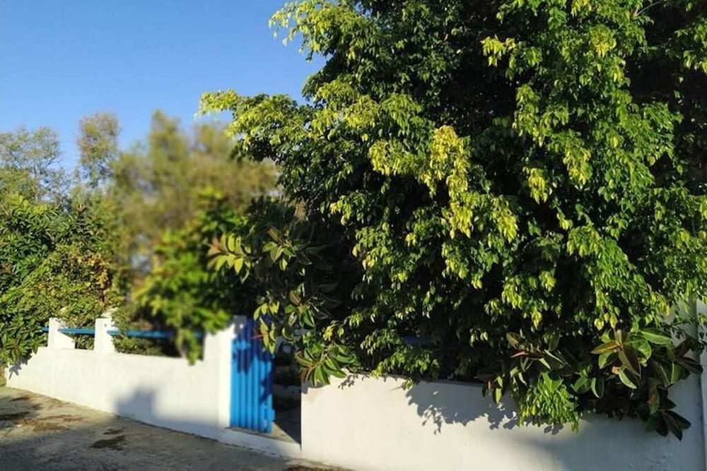 Beach Cottage in Flisvos St.George view 5
