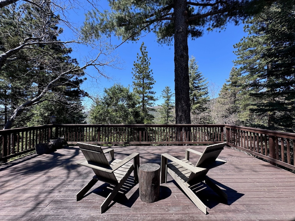 Mid-century Modern A-frame Time Capsule