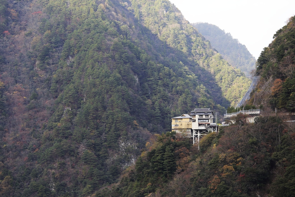 Hotel Iyaonsen
