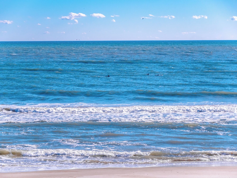 Pelican Nest by Topsail Realty