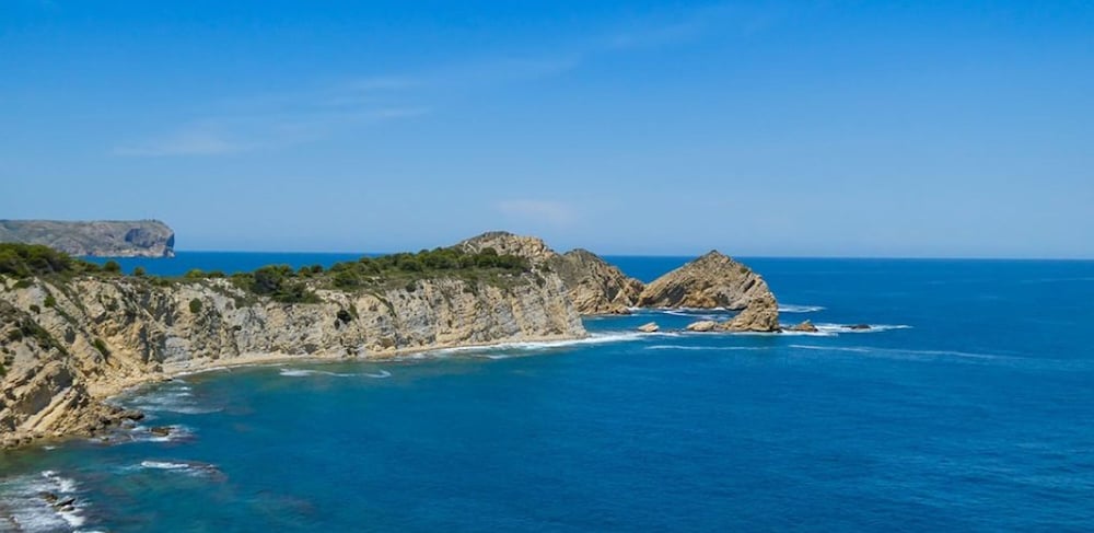 Delfines del Puerto in Javea