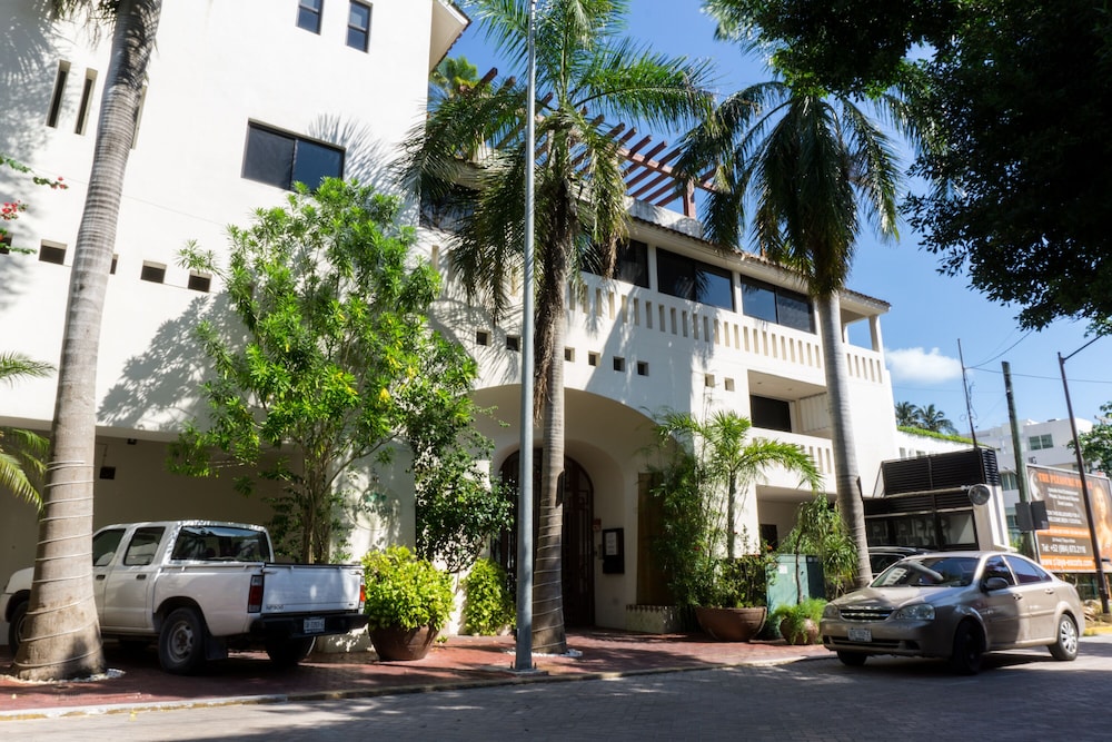 Royal Palms by Bric