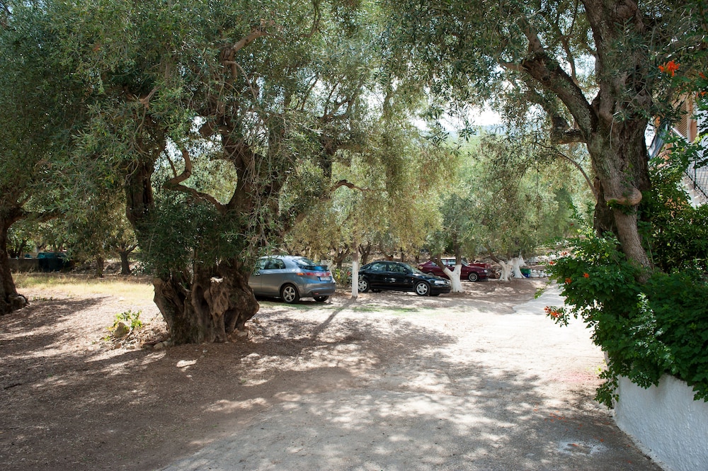 Photo 41