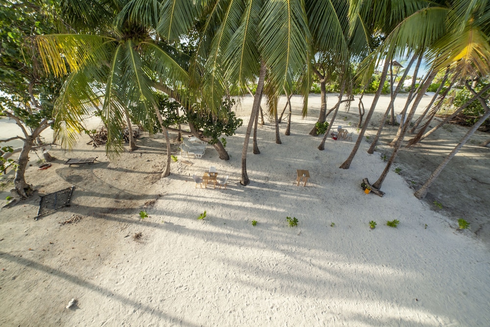 Photo 28