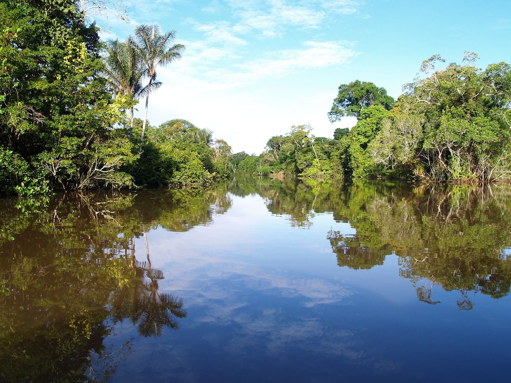 Amazon Rainforest Lodge