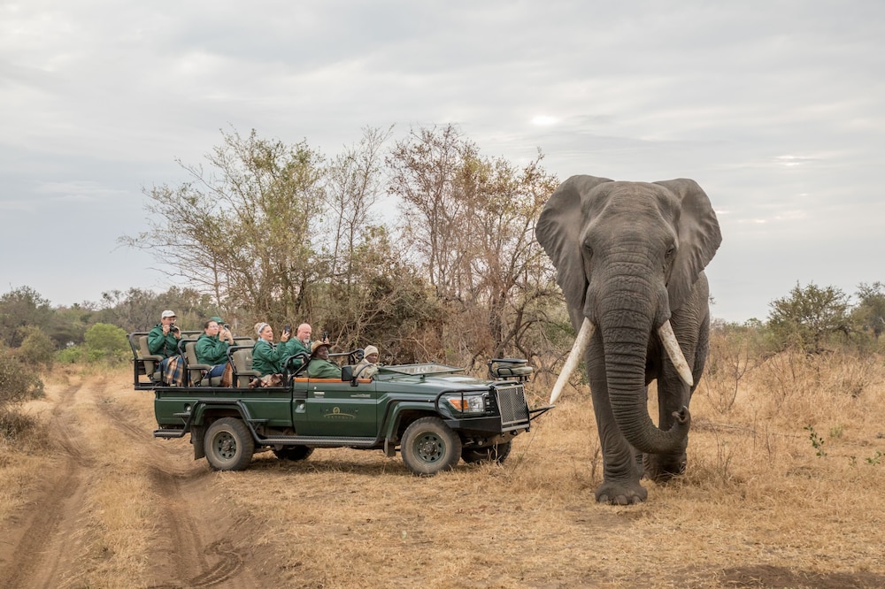 Karongwe - River Safari Lodge