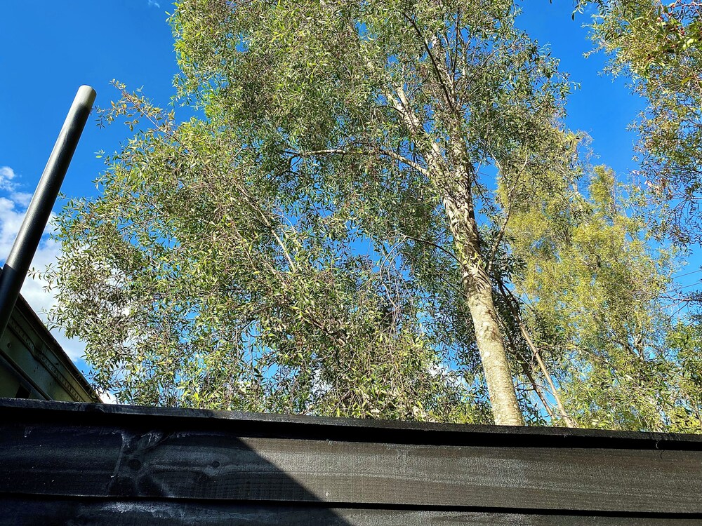 Refugio 14 With hot tub in the Forest