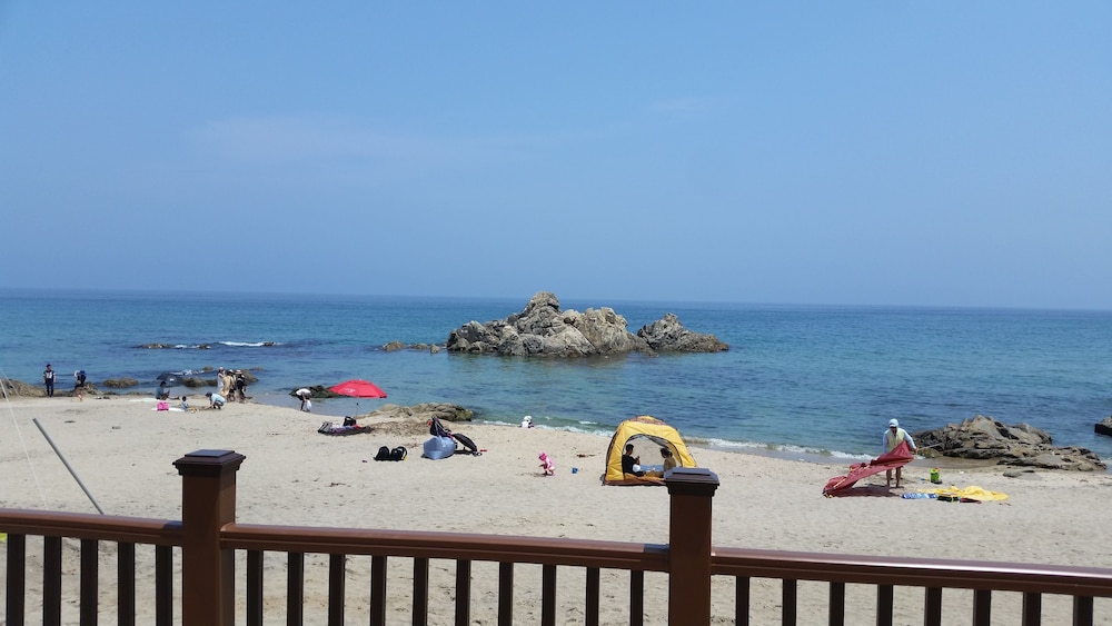 Caddis Pension