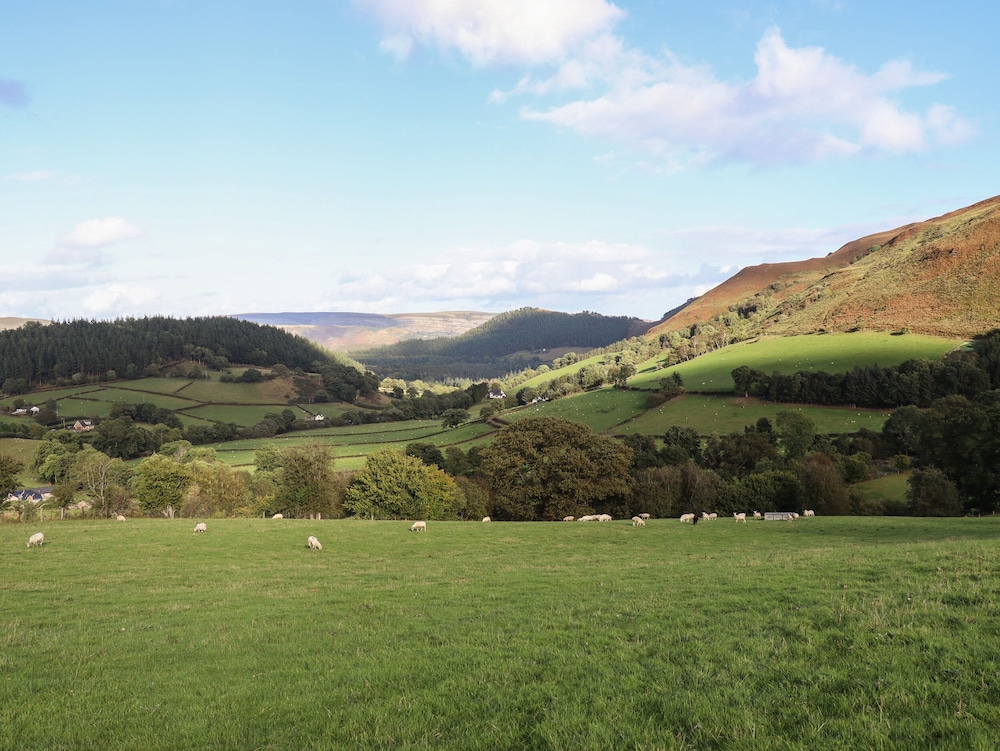 Tyn Llwyn Barn