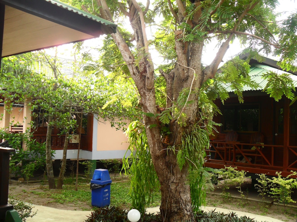 Dreamland Resort