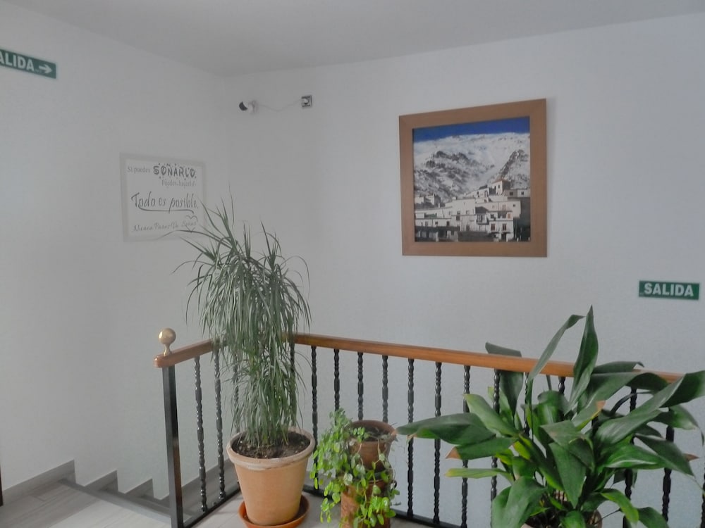 Hostal y apartamentos Casa Fermina view 4