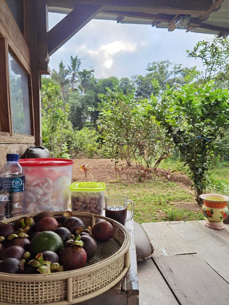 Homestay Ijen Lemonhouse