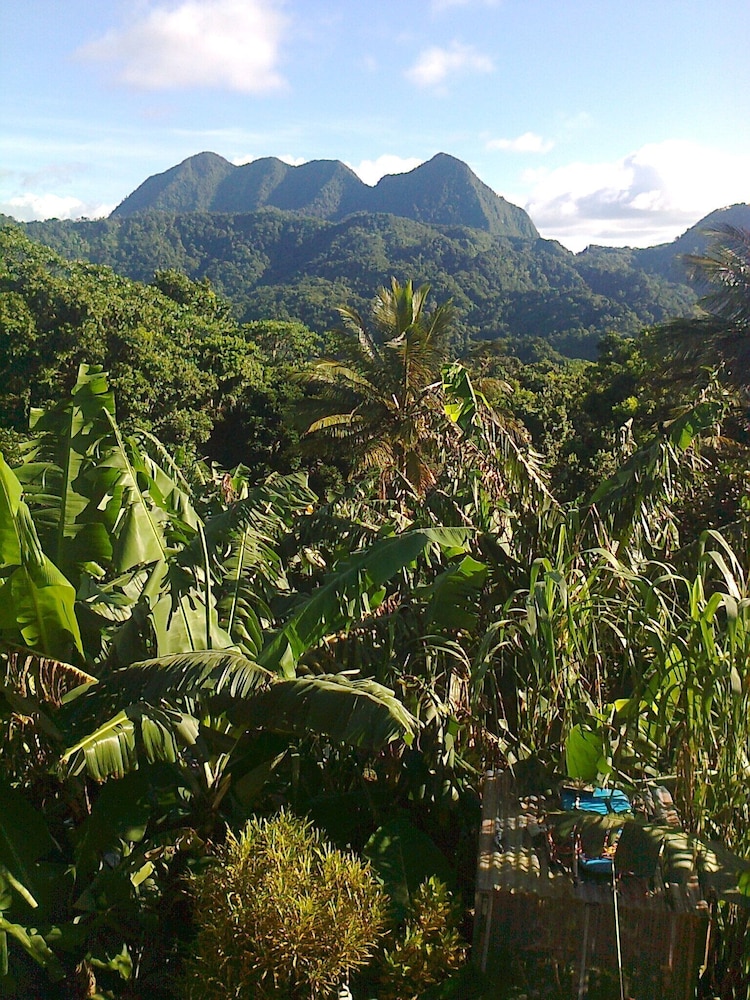 Tony & Aldona's Retreat view 4