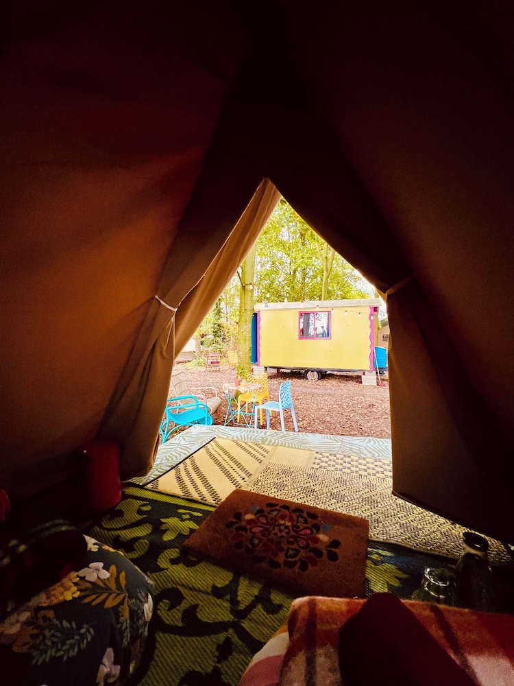 Camping De Helleborus
