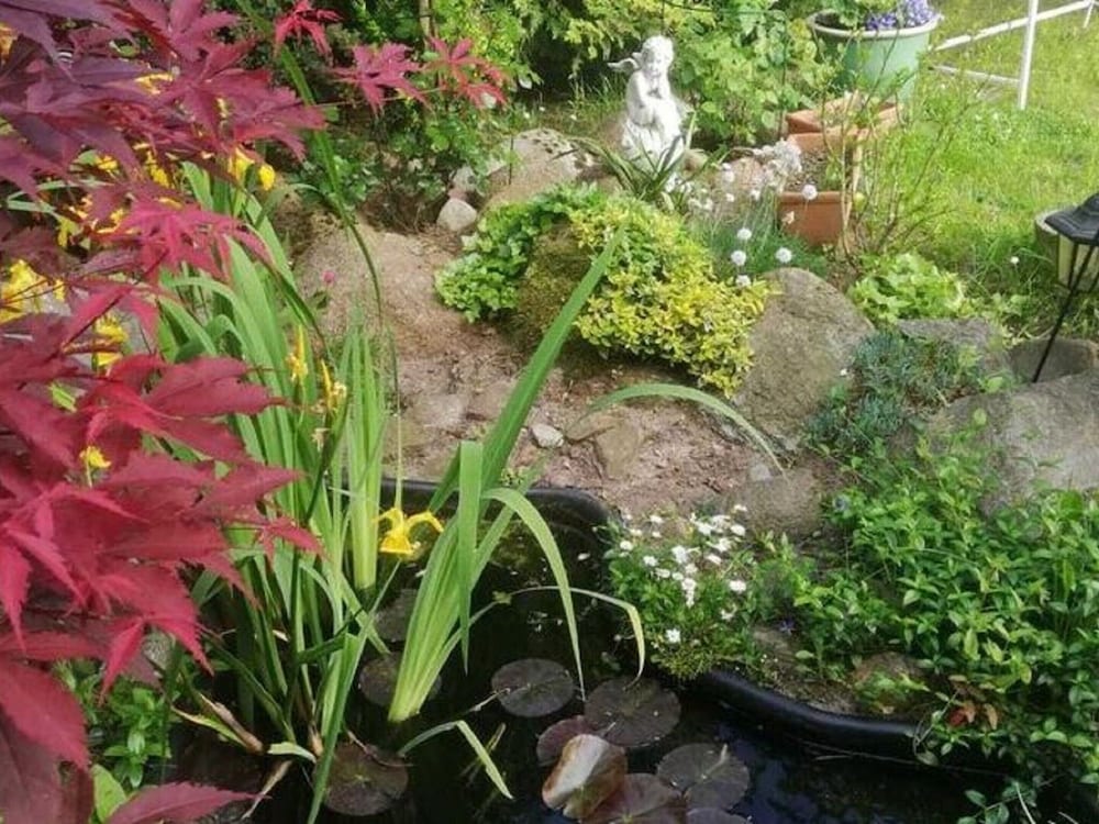 Photo 21
