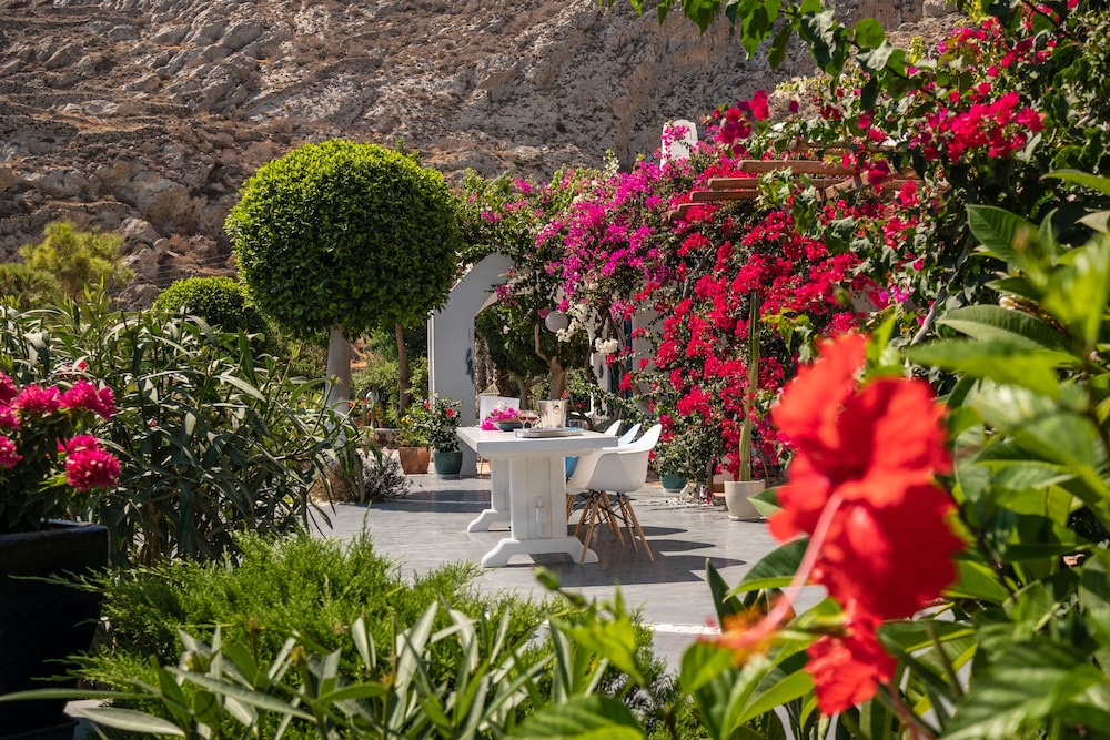 Santorini Mystique Garden photo 5