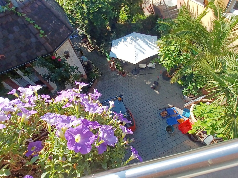 Weinberg-ferienwohnung, Oberrotweil