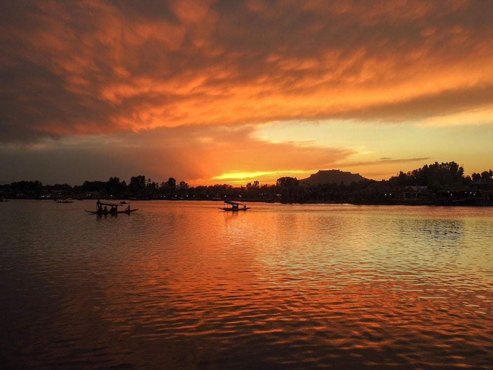 Photo 55