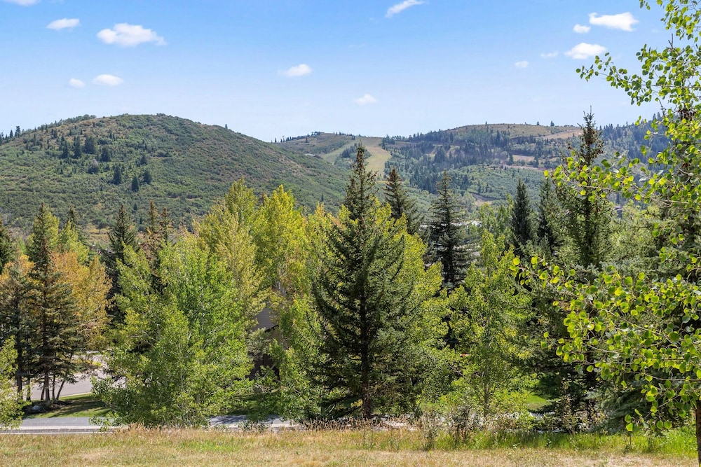 Pinnacle at Deer Valley Resort - Four Bedroom Condo with Hot Tub #1470 4 Condo