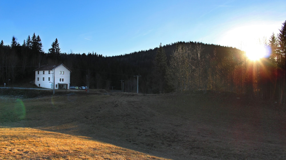 Photo 46