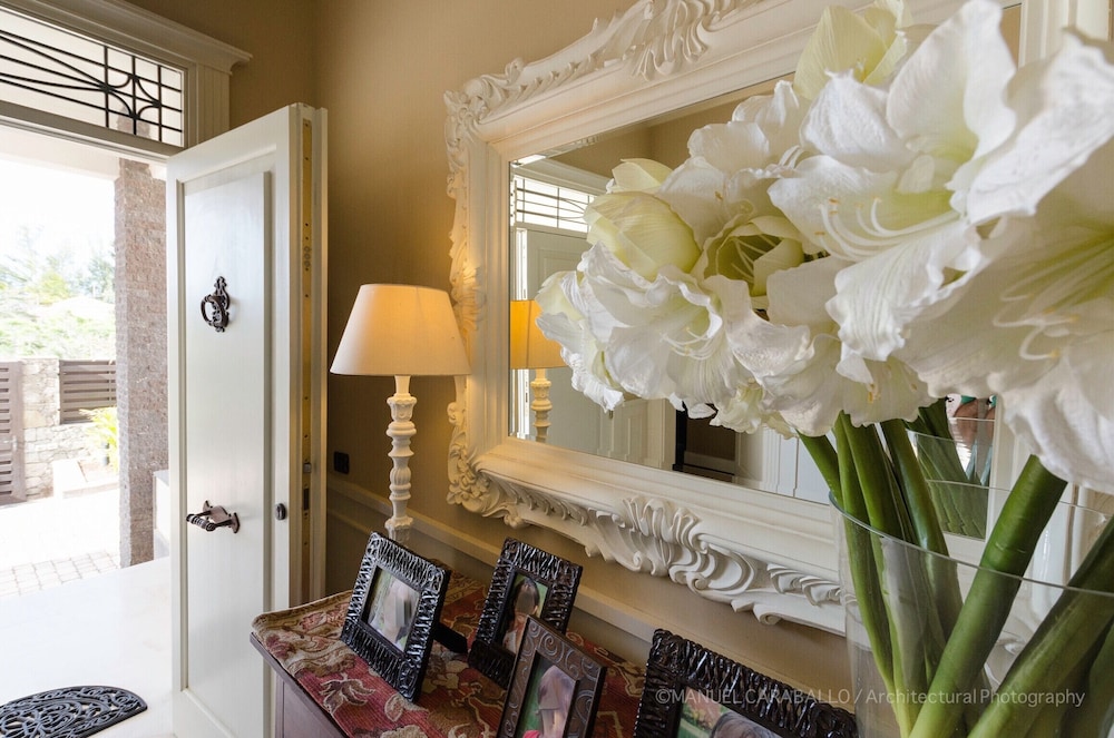 Royal Palm view 3