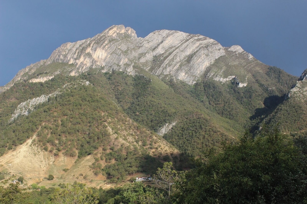 Cabañas Niebla Azul