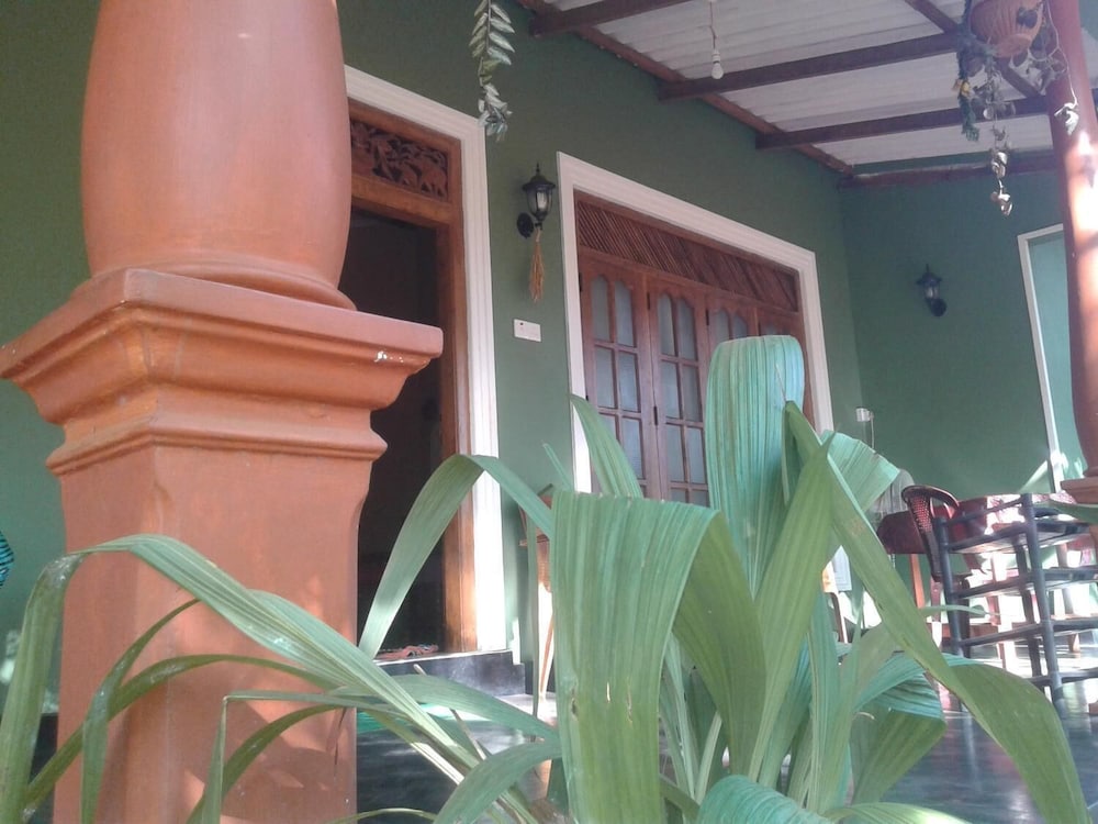 Green Bamboo House