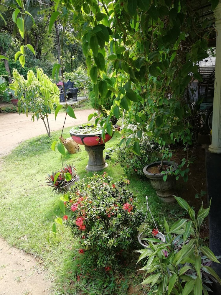 Lal HomeStay