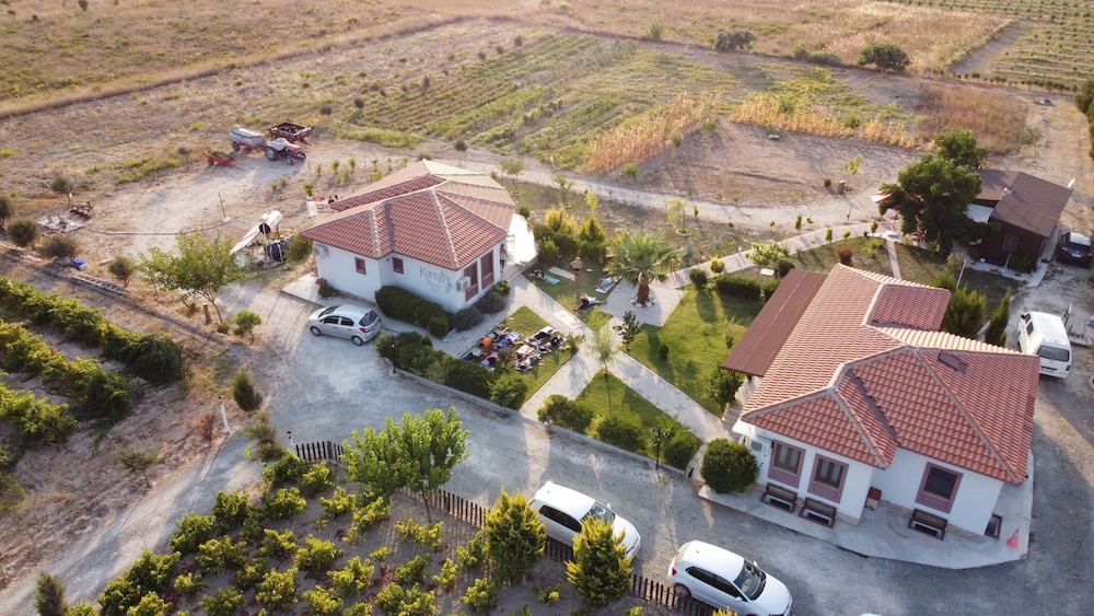 Karina Vineyard Evi - Image 23